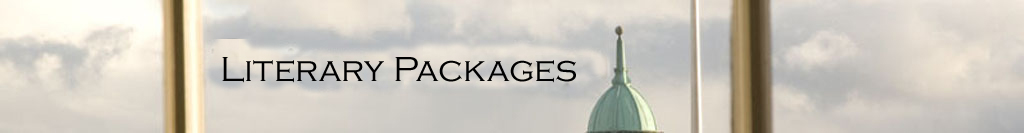 Dublin Cityscape Banner